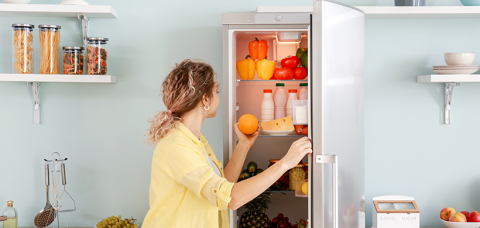 Fridge