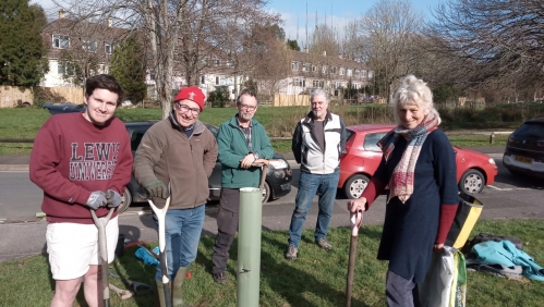 Tree planting in Totnes