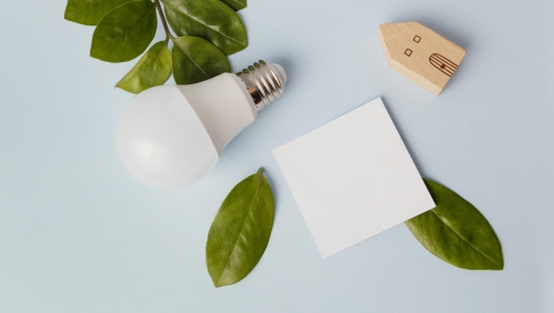 energy saving lightbulb surrounded by leaves and a wooden house