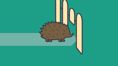 hedgehog highway