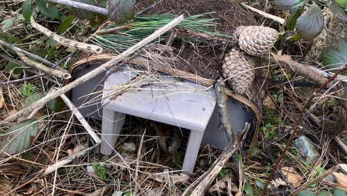 Our new hedgehog home in Truro.