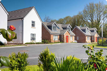 A road showing a few LiveWest homes in a peaceful cul-de-sac with rose bushes in front.